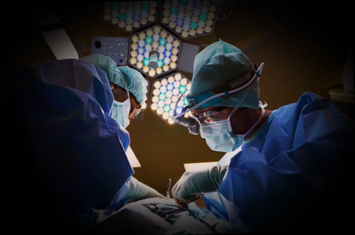 ինչպես լրացնել հանքանյութերի պակասը սննդի միջոցով